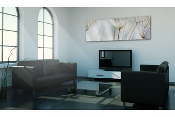 Taulu Ephemeral Moments 120x40 - Artgeist sp. z o. o. - Sisustustuotteet - Taulu & taide - Canvas-taulu