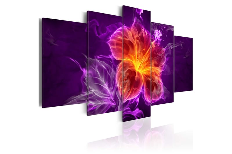 Taulu Esoteric Flower 100x50, Artgeist sp. z o. o.