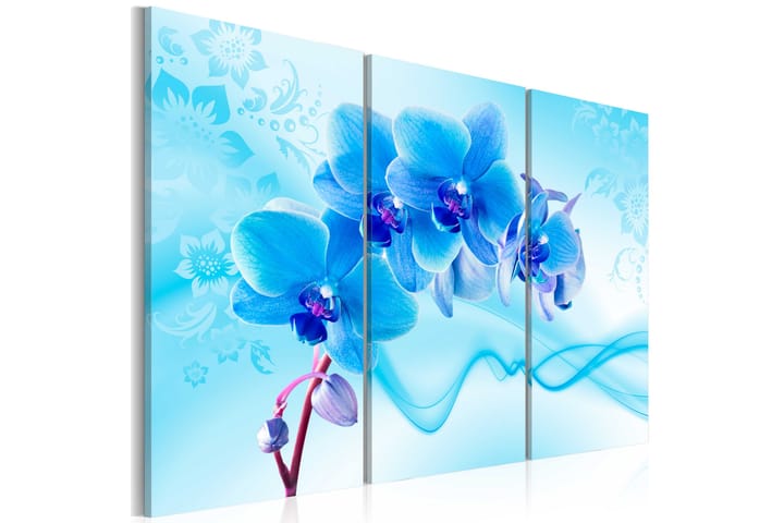 Taulu Ethereal Orchid Blue 60x40 - Artgeist sp. z o. o. - Canvas-taulu - Seinäkoristeet