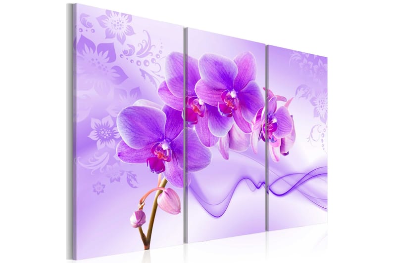 Taulu Ethereal Orchid Violet 60x40, Artgeist sp. z o. o.