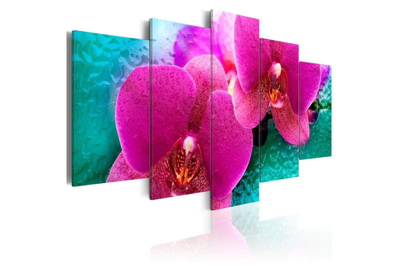 Taulu Exotic Orchids 100x50, Artgeist sp. z o. o.