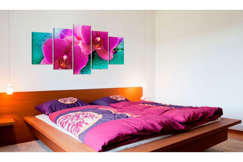 Taulu Exotic Orchids 200x100 - Artgeist sp. z o. o. - Sisustustuotteet - Taulu & taide - Canvas-taulu