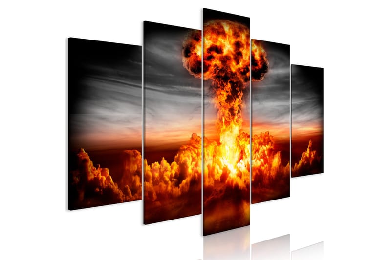 Taulu Explosion 5 Parts Wide 200x100, Artgeist sp. z o. o.