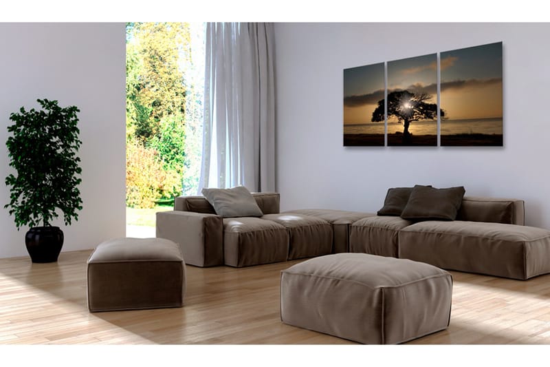 Taulu Extraordinary Nature 120x60 - Artgeist sp. z o. o. - Sisustustuotteet - Taulu & taide - Canvas-taulu