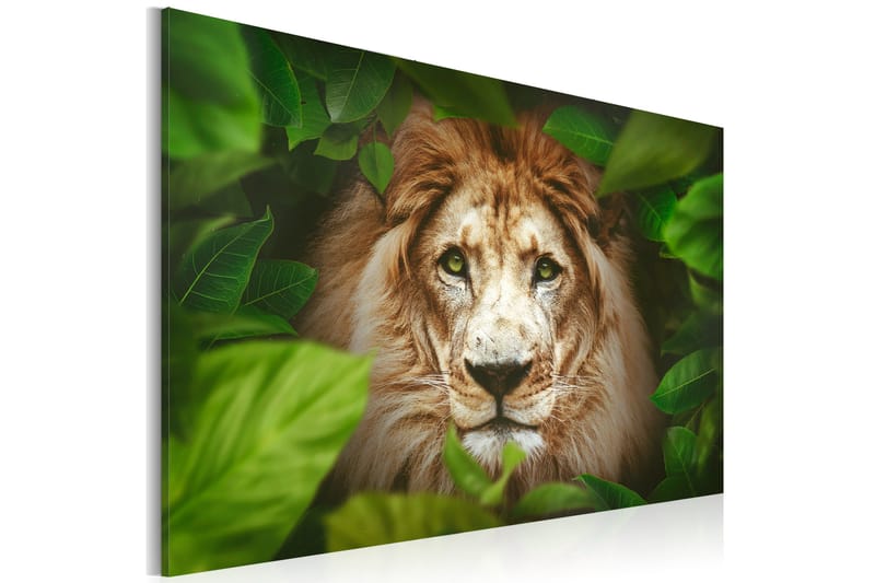 Taulu Eyes Of The Jungle 60x40, Artgeist sp. z o. o.