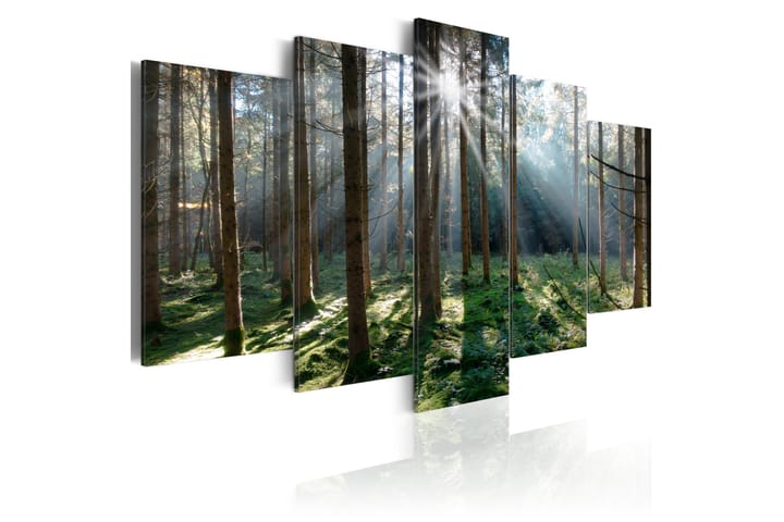 Taulu Fairytale Forest 100x50 - Artgeist sp. z o. o. - Seinäkoristeet - Canvas-taulu