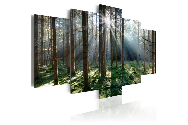 Taulu Fairytale Forest 200x100, Artgeist sp. z o. o.