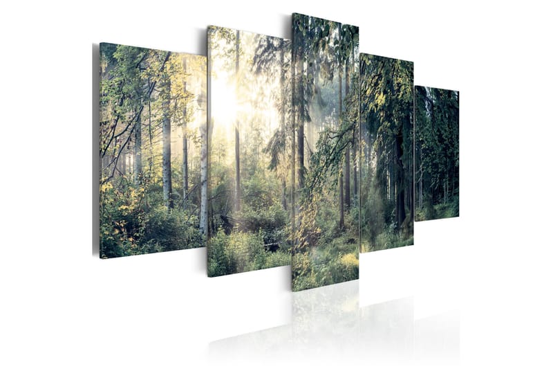 Taulu Fairytale Landscape 100x50 - Artgeist sp. z o. o. - Sisustustuotteet - Taulu & taide - Canvas-taulu