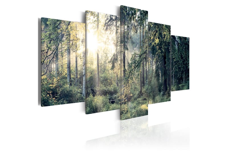 Taulu Fairytale Landscape 200x100, Artgeist sp. z o. o.