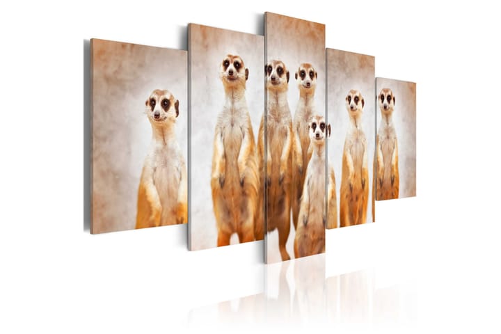 Taulu Family Of Meerkats 100x50 - Artgeist sp. z o. o. - Canvas-taulu - Seinäkoristeet