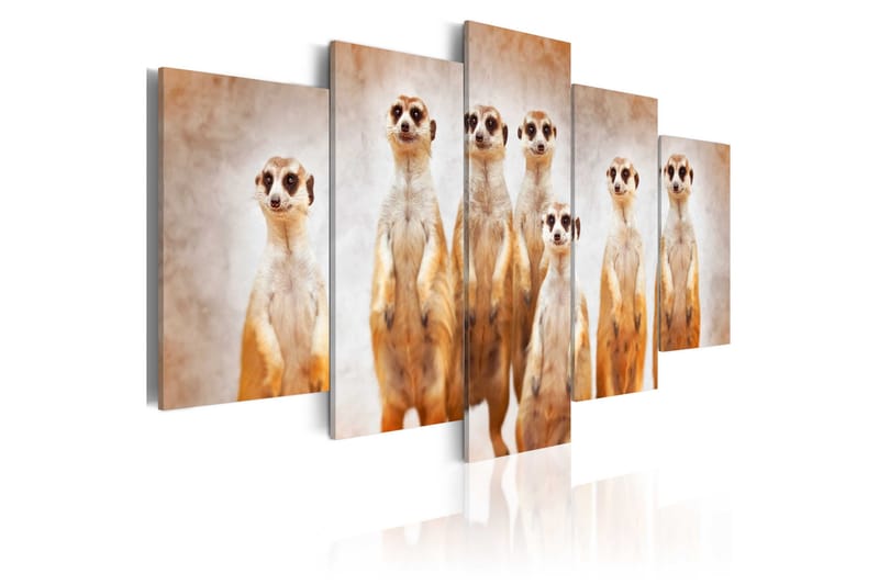 Taulu Family Of Meerkats 200x100, Artgeist sp. z o. o.