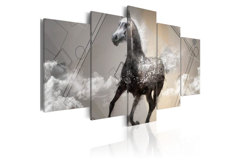 Taulu Fancy Gallop 5 Pieces 100x50, Artgeist sp. z o. o.