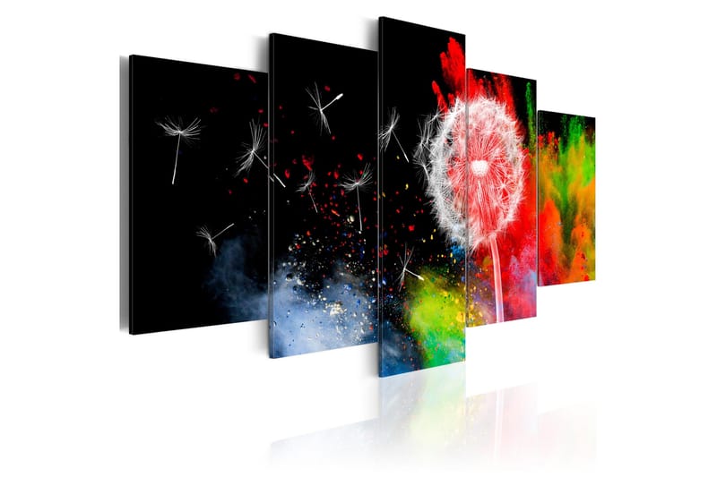 Taulu Festival Of Colours 200x100, Artgeist sp. z o. o.