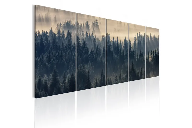 Taulu Fir In The Fog 200x80, Artgeist sp. z o. o.