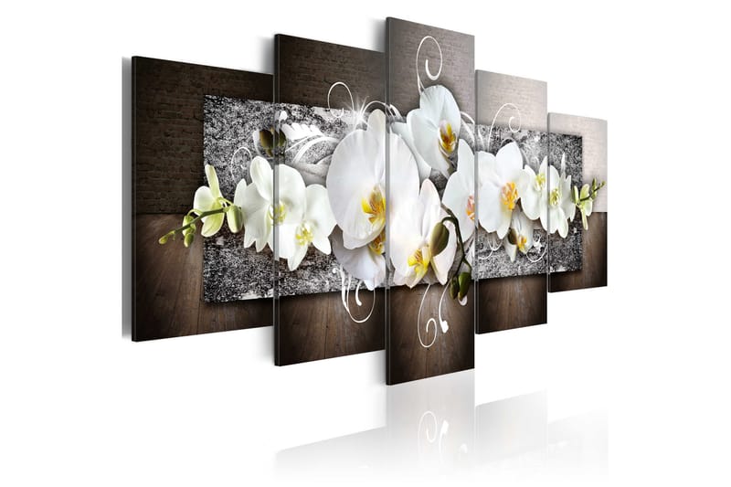 Taulu Flower Of Innocence 100x50 - Artgeist sp. z o. o. - Sisustustuotteet - Taulu & taide - Canvas-taulu