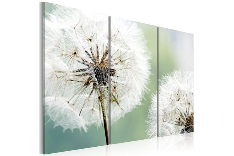 Taulu Fluffy Dandelions 60x40, Artgeist sp. z o. o.
