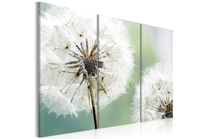 Taulu Fluffy dandelions 90x60 - Artgeist sp. z o. o. - Canvas-taulu - Seinäkoristeet