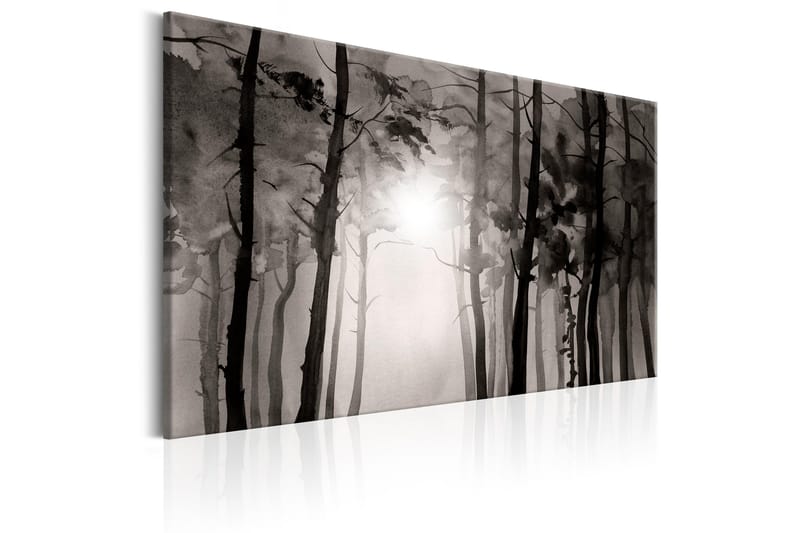 Taulu Foggy Forest 120x80 - Artgeist sp. z o. o. - Sisustustuotteet - Taulu & taide - Canvas-taulu