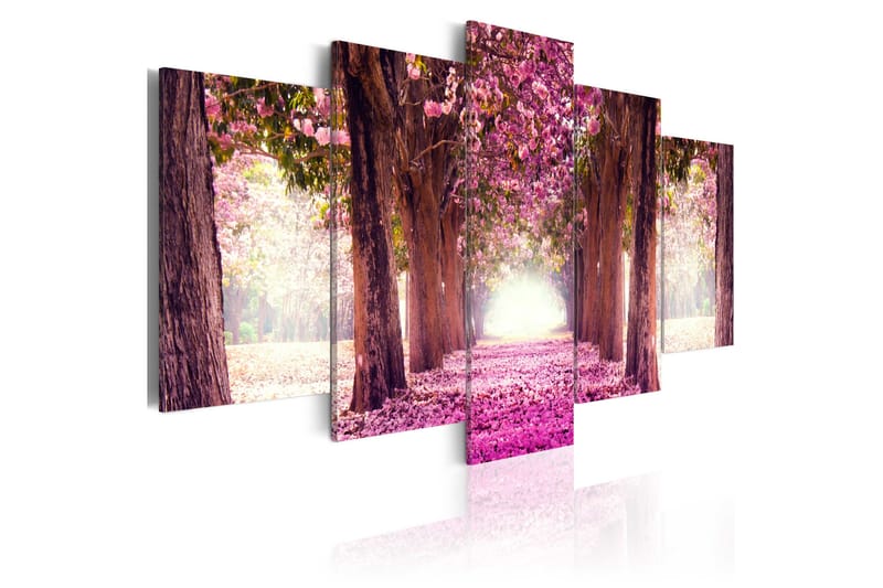 Taulu Follow The Beauty 100x50, Artgeist sp. z o. o.