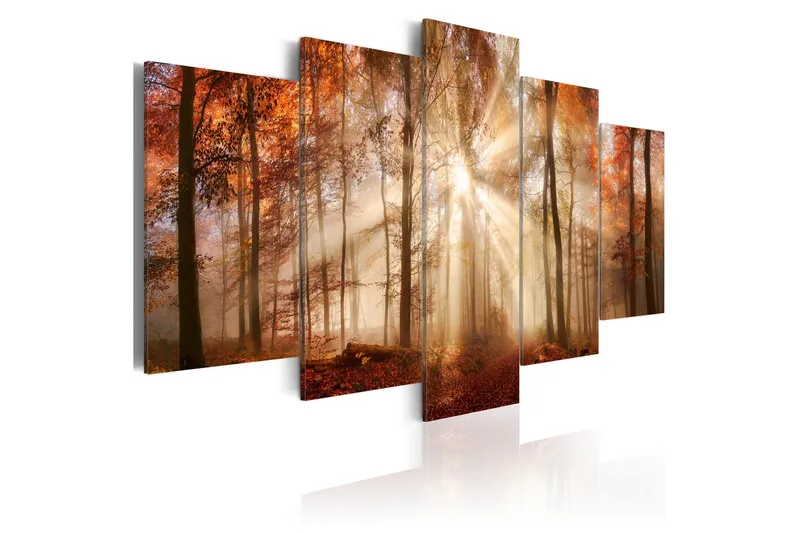 Taulu Forest Fog 100x50, Artgeist sp. z o. o.