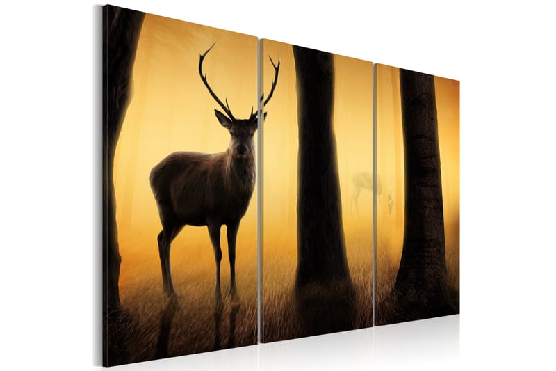 Taulu Forest guard 60x40, Artgeist sp. z o. o.