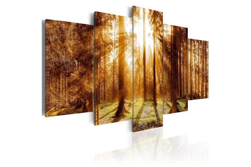 Taulu Forest Illumination 100x50, Artgeist sp. z o. o.
