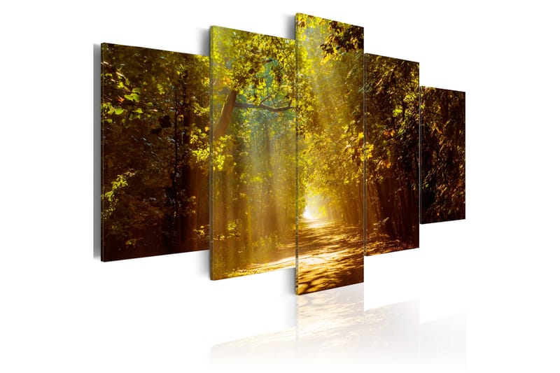 Taulu Forest In The Sunlight 100x50 - Artgeist sp. z o. o. - Sisustustuotteet - Taulu & taide - Canvas-taulu