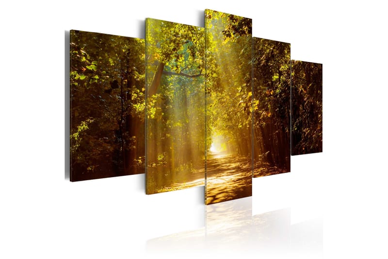 Taulu Forest In The Sunlight 100x50, Artgeist sp. z o. o.
