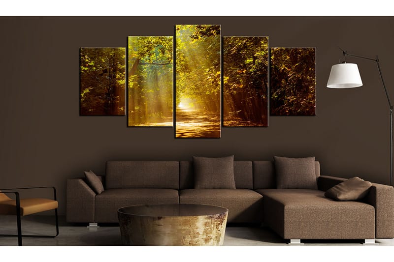 Taulu Forest In The Sunlight 100x50 - Artgeist sp. z o. o. - Sisustustuotteet - Taulu & taide - Canvas-taulu