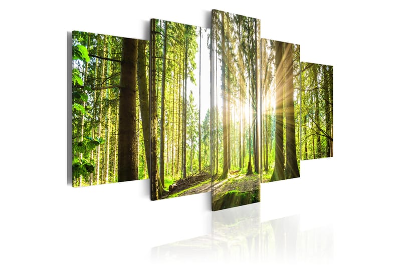 Taulu Forest Kingdom 100x50 - Artgeist sp. z o. o. - Sisustustuotteet - Taulu & taide - Canvas-taulu