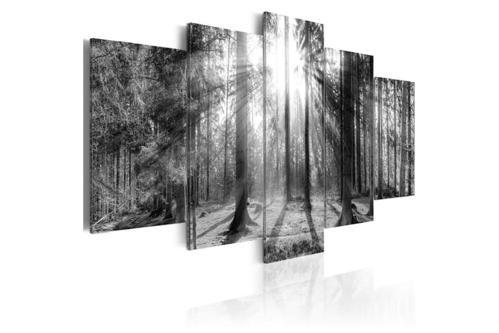 Taulu Forest Of Memories 200x100 - Artgeist sp. z o. o. - Seinäkoristeet - Canvas-taulu