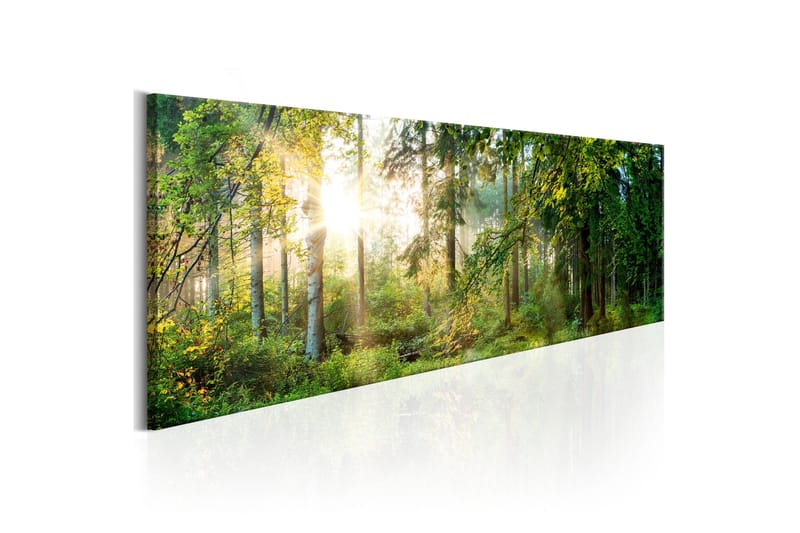 Taulu Forest Shelter 120x40, Artgeist sp. z o. o.