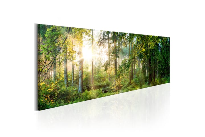 Taulu Forest Shelter 150x50 - Artgeist sp. z o. o. - Canvas-taulu - Seinäkoristeet