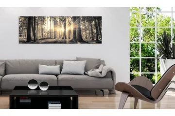 Taulu Forest Sun 120x40 - Artgeist sp. z o. o. - Sisustustuotteet - Taulu & taide - Canvas-taulu