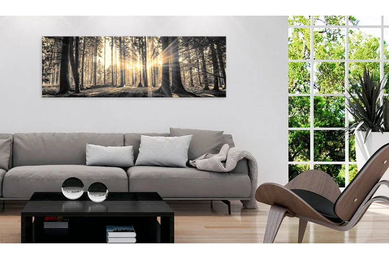Taulu Forest Sun 120x40 - Artgeist sp. z o. o. - Sisustustuotteet - Taulu & taide - Canvas-taulu