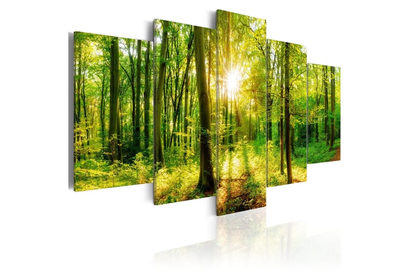 Taulu Forest Tale 100x50, Artgeist sp. z o. o.