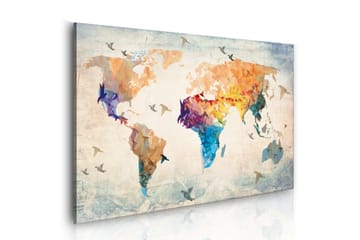 Taulu Free As A Bird 90x60