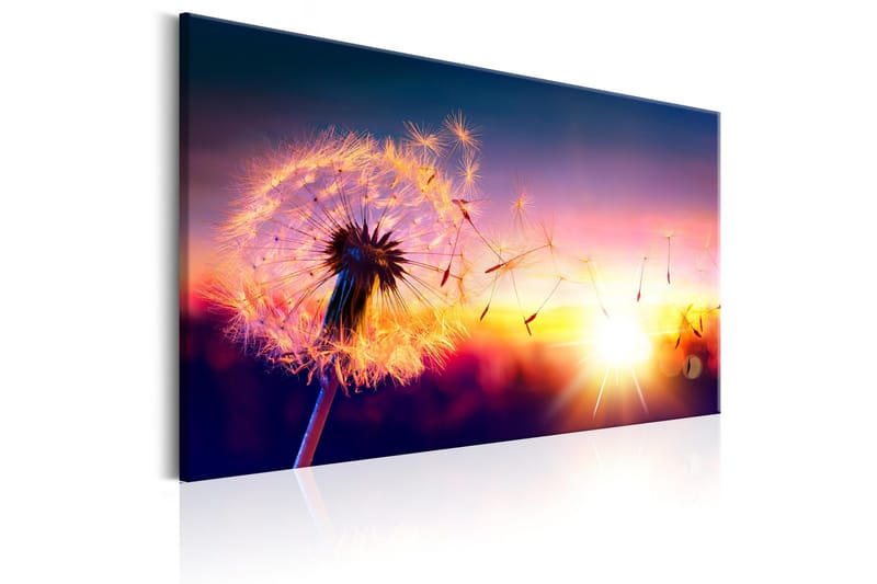 Taulu Freedom of Nature 90x60 - Artgeist sp. z o. o. - Sisustustuotteet - Taulu & taide - Canvas-taulu