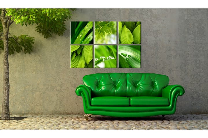 Taulu Fresh Green Leaves 120x80 - Artgeist sp. z o. o. - Canvas-taulu - Seinäkoristeet