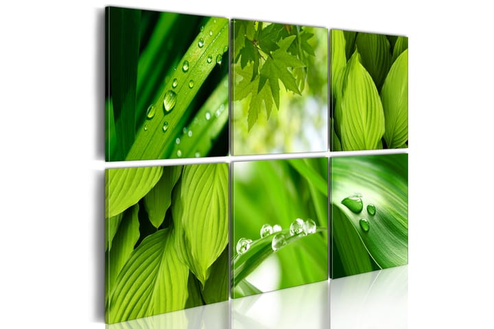 Taulu Fresh Green Leaves 120x80 - Artgeist sp. z o. o. - Canvas-taulu - Seinäkoristeet