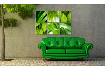 Taulu Fresh Green Leaves 60x40 - Artgeist sp. z o. o. - Sisustustuotteet - Taulu & taide - Canvas-taulu