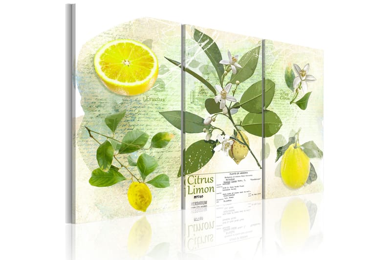Taulu Fruit: lemon 90x60, Artgeist sp. z o. o.