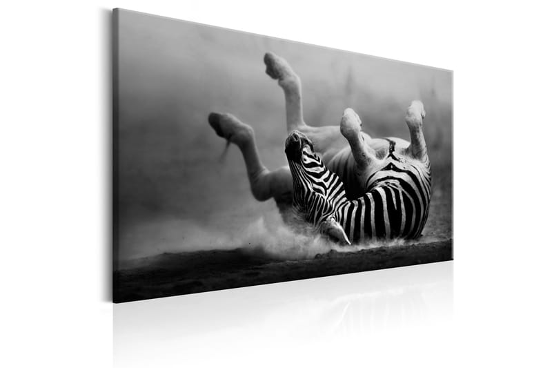 Taulu Fun in the Dust 60x40 - Artgeist sp. z o. o. - Sisustustuotteet - Taulu & taide - Canvas-taulu