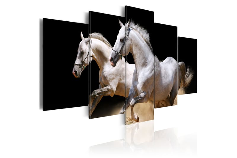 Taulu Gallop- Freedom And Power 100x50, Artgeist sp. z o. o.