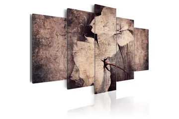 Taulu Garden Of Time 200x100
