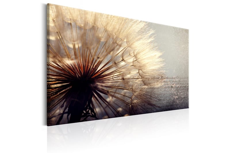 Taulu Gentleness of Summer 120x80 - Artgeist sp. z o. o. - Sisustustuotteet - Taulu & taide - Canvas-taulu