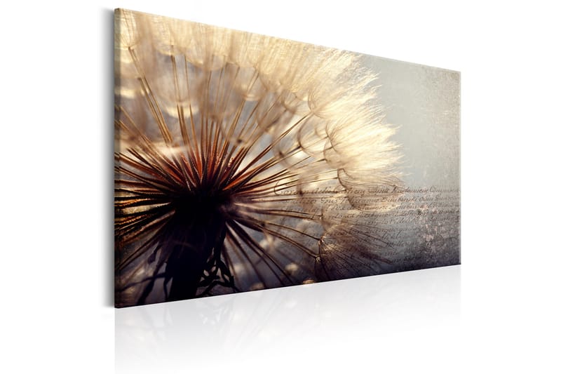 Taulu Gentleness of Summer 120x80 - Artgeist sp. z o. o. - Sisustustuotteet - Taulu & taide - Canvas-taulu