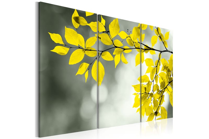 Taulu Gold Sprig 120x80 - Artgeist sp. z o. o. - Canvas-taulu - Seinäkoristeet