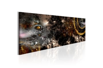 Taulu Golden Galaxy 120x40