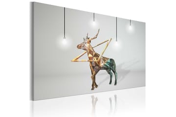 Taulu Golden Kauris 60x40